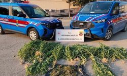 Kahta’da uyuşturucu operasyonu