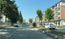 Depremin yıktığı Adıyaman yeniden yükseliyor
