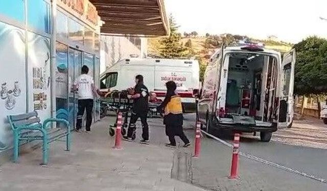 Ceviz ağacından düşen kişi yaralandı
