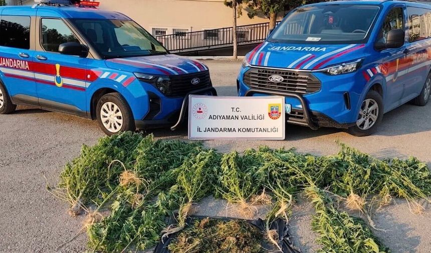 Kahta’da uyuşturucu operasyonu