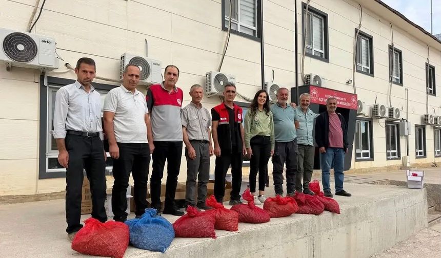 Çelikhan’da 10 üreticiye 90 kilogram salep yumrusu dağıtıldı